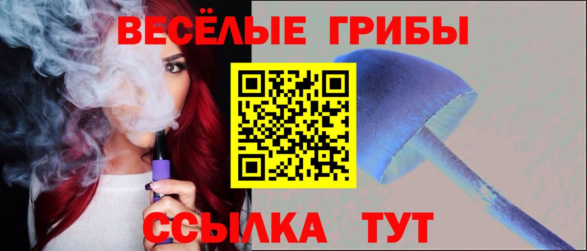 закладка  Вход с VPN  Псилоцибиновые грибы ЛСД  Благовещенск  Галлюциногенные грибы Psilocybe 